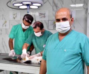 Mersin’de kontrolsüz üremenin önüne geçmek için sokak hayvanları kısırlaştırılıyor