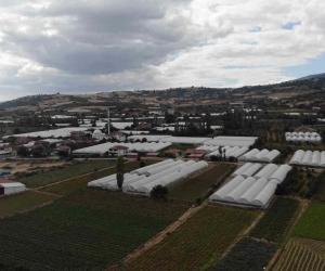 Tokat’taki küçük Antalya: Bu köy göç vermiyor göç alıyor