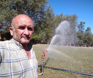 Domuz avında kazara arkadaşını vurdu: 1 ölü