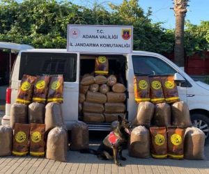 Adana’da bir araçta yapılan aramada 755 kilo tütün ele geçirildi
