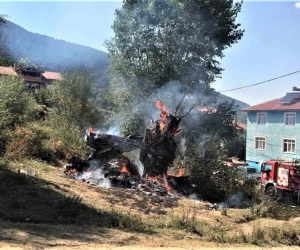 Kütahya OBG 1 haftada 7 kırsal alan ve 3 orman yangınına müdahale etti