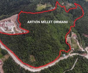 Artvin’e 10 Hektarlık alanda Millet Ormanı oluşturulacak