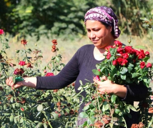 Bu sera hem işsiz kadınları istihdam ediyor hem de çocukların yüzünü güldürüyor