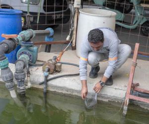 10 bin sulama göletine binlerce ’Lepistes’ balığı bırakıldı