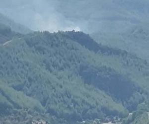 Kozan’da orman yangını