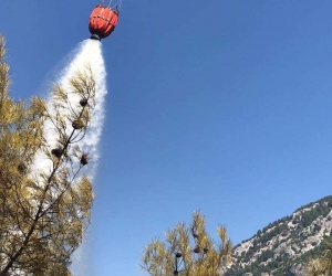 Adana’da orman yangını söndürüldü