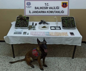 Balıkesir İl Jandarma Komutanlığınca uyuşturucu operasyonu