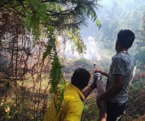 Kastamonu’daki orman yangını büyümeden söndürüldü