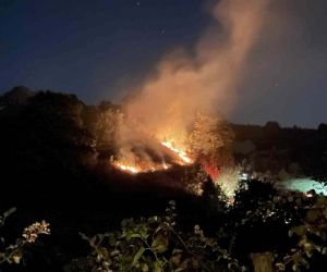 Kocaeli’de anız yangını: Köpek dumanların arasından kurtarıldı