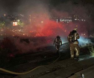 Beyoğlu Evlendirme Dairesi’nin bahçesinde korkutan yangın: Tahta yürüyüş yolu alev alev yandı