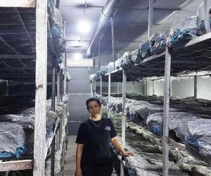 Emetli girişimci kadın kültür mantarı üretim tesisi kurdu