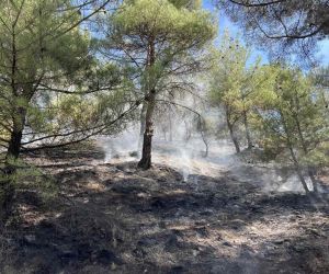 Kastamonu’da orman yangını: Ekiplerin müdahalesi ile kısa sürede söndürüldü