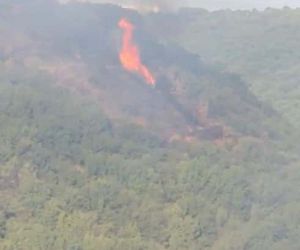 Sultangazi Kent Ormanı’nda yangın çıktı: Havadan müdahale ediliyor