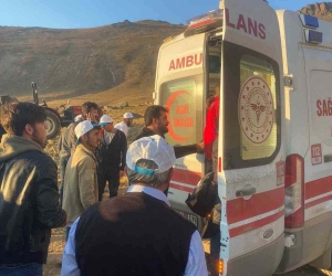 Şehitler anısına vefa yürüyüşü yapan gruba ayı saldırdı: 1 kişi yaralandı