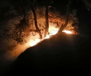 Karabük’te orman yangını: 5 dönüm alan zarar gördü