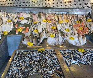 Balıkçılardan ucuz mazot desteği ve hal giderlerinin düşürülmesi çağrısı
