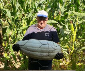 Hisarcıklı çiftçi ata tohumundan 30 kilo gelen bal kabağı yetiştirdi