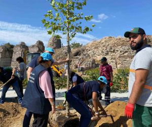 Fatih Belediyesi BM Gönüllüleri ile beraber ağaç dikme töreni düzenledi