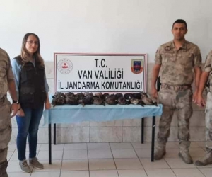 Van’da kaçak olarak yaban ördeği avlayanlara ceza