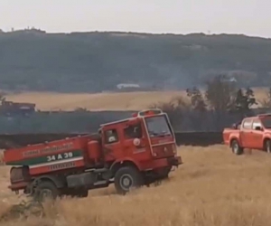 Anız yangını ormanlık alana sıçradı