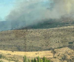 Çankırı’da orman yangını: Havadan ve karadan müdahale ediliyor