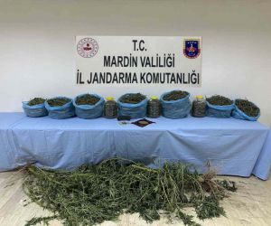 Mardin’de uyuşturucu operasyonunda 1 tutuklama