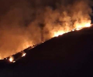 Elazığ’da arazi yangını