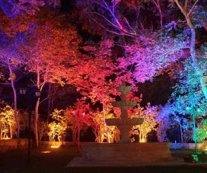 Büyükşehir Belediyesi, çevre dostu aydınlatma projeleri ile kentin geleceğine ışık tutuyor