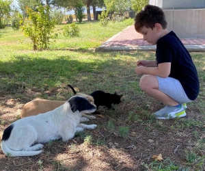 Kedi ve köpeğin örnek dostluğu
