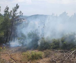 Gelibolu’da yıldırım düşmesi sonucu çıkan orman yangınına havadan ve karadan müdahale ediliyor