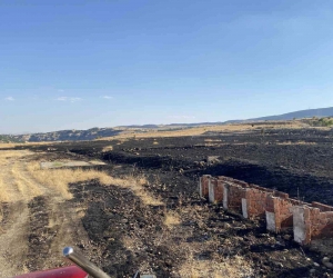 Tunceli’de arazi yangını