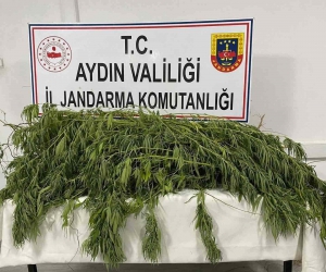 Germencik’te uyuşturucu operasyonu