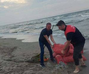 Kaçak avlanılan 5 bin 500 kilo kum şırlanı denize bırakıldı