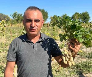 Depremde enkazdan kurtardığı çocuğun ailesinin hediye ettiği fıstıklarla Nevşehir’de yüksek rekolte elde etti