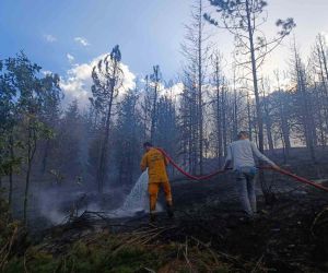 Konya’da orman yangını söndürüldü