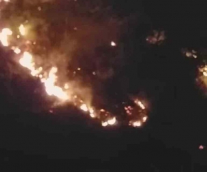 Kastamonu’da korkutan orman yangını