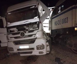 Diyarbakır’da trenin çarptığı tırın sürücüsü ağır yaralandı, hayvanlar telef oldu