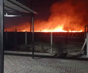 Anız yangını bahçeye sıçradı