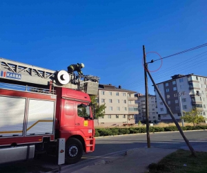 Telefon kablosunda mahsur kalan yavru kediyi itfaiye kurtardı