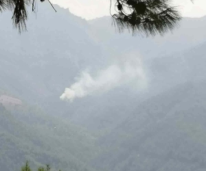 Kozan da orman yangını
