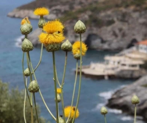 Kuşadası yeni bir turizm rotası daha kazandı