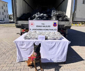 Görenleri hayrete düşürdü, kayısı kolisinden kilolarca uyuşturucu çıktı