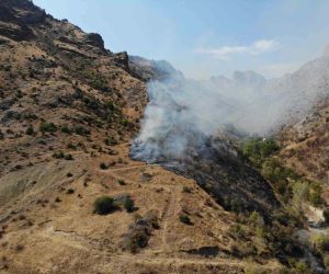 Gümüşhane’de örtü yangını: 2 hektarlık alan küle döndü