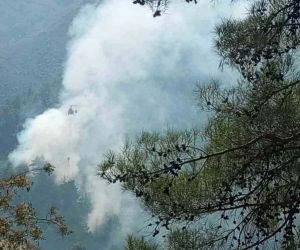 Adana’da orman yangınları kontrol altına alındı
