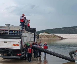 Kastamonu’da göletlere 1 milyon balık salındı