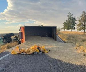 Konya’da traktör devrildi, römorktaki arpa yola saçıldı