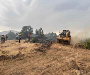 Bingöl’de ormanlık alanda çıkan yangın söndürüldü