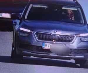 Slovakya’da seyir halindeki aracın direksiyonundaki köpek kameralara yakalandı