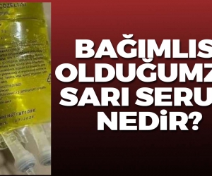 Bağımlısı olduğumuz sarı serum nedir?