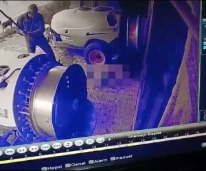 İnegöl'de sopa ile dövülen köpeğin durumu ile ilgili açıklama geldi